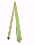Sage Green Solid Satin Polyester Tie and Pocket Square Set for formal wear
