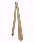 Champagne - Satin Polyester Tie & Pocket Square Set