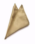 Champagne - Satin Polyester Tie & Pocket Square Set
